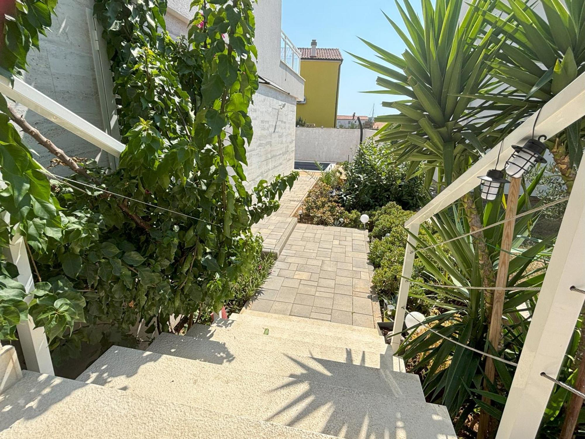 Apartment Regina Rex With Swimming Pool