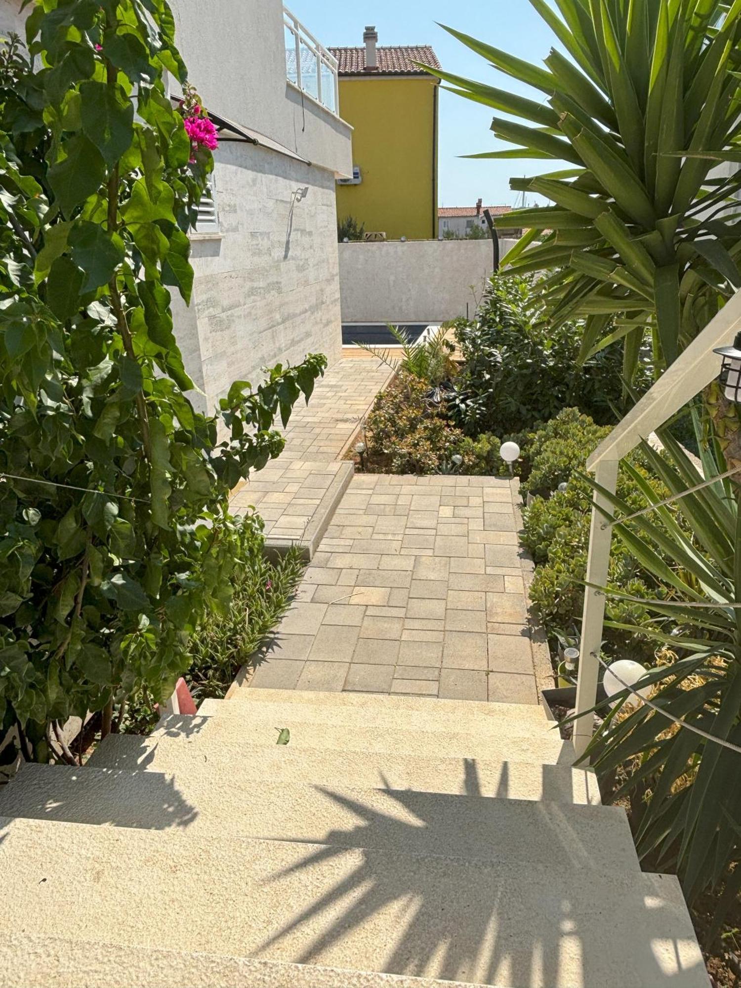 Apartment Regina Rex With Swimming Pool