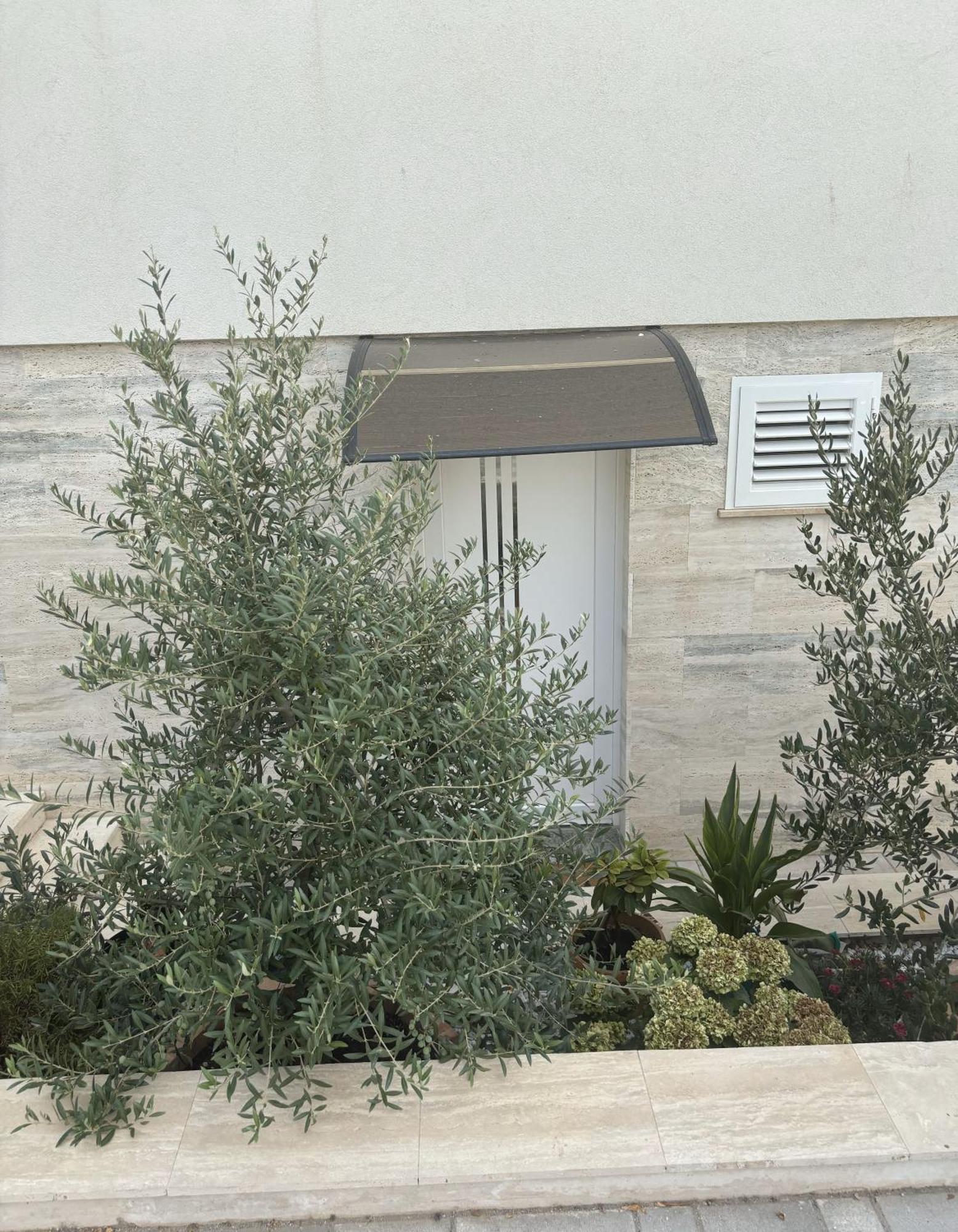 Regina Rex With Swimming Pool Apartment *